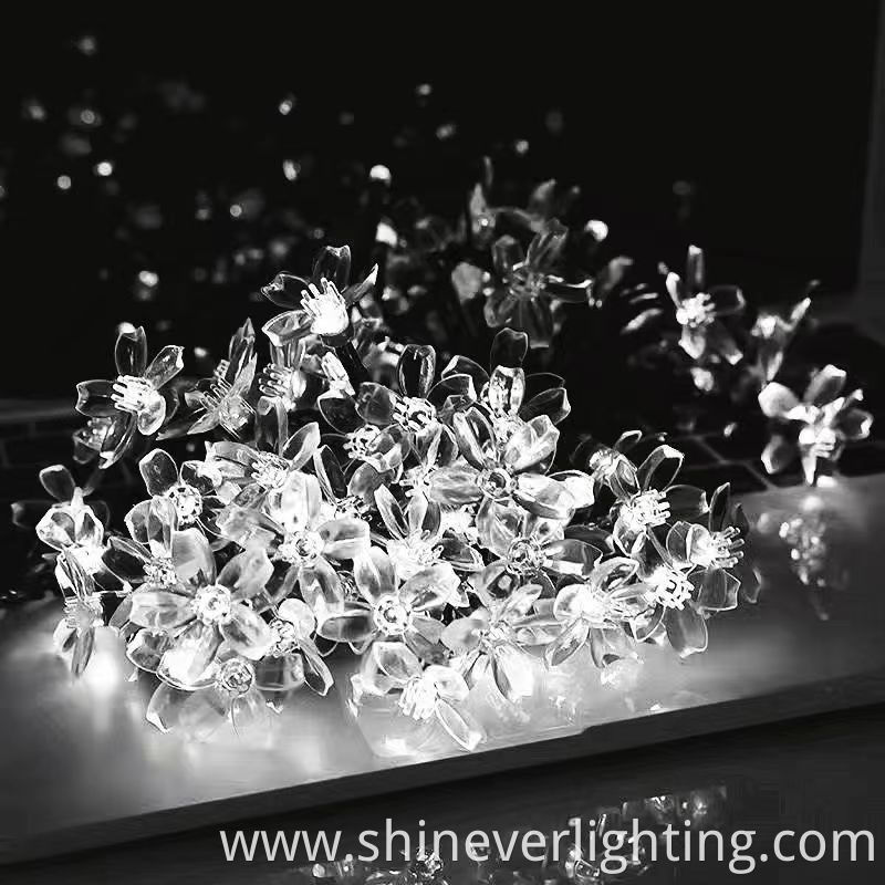 Christmas LED string lights